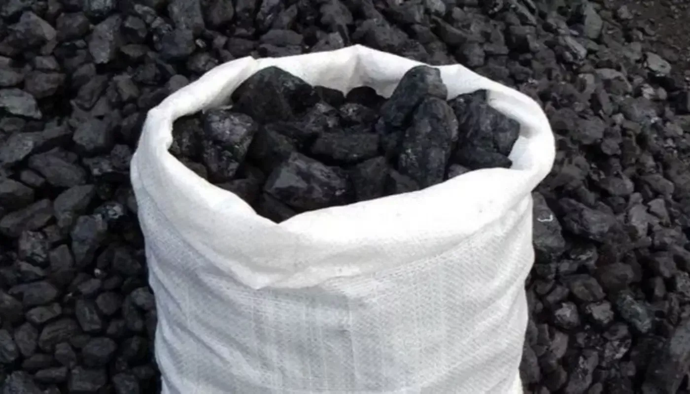 The fraudster engaged in the coal business pays a criminal fine of 51 million soums