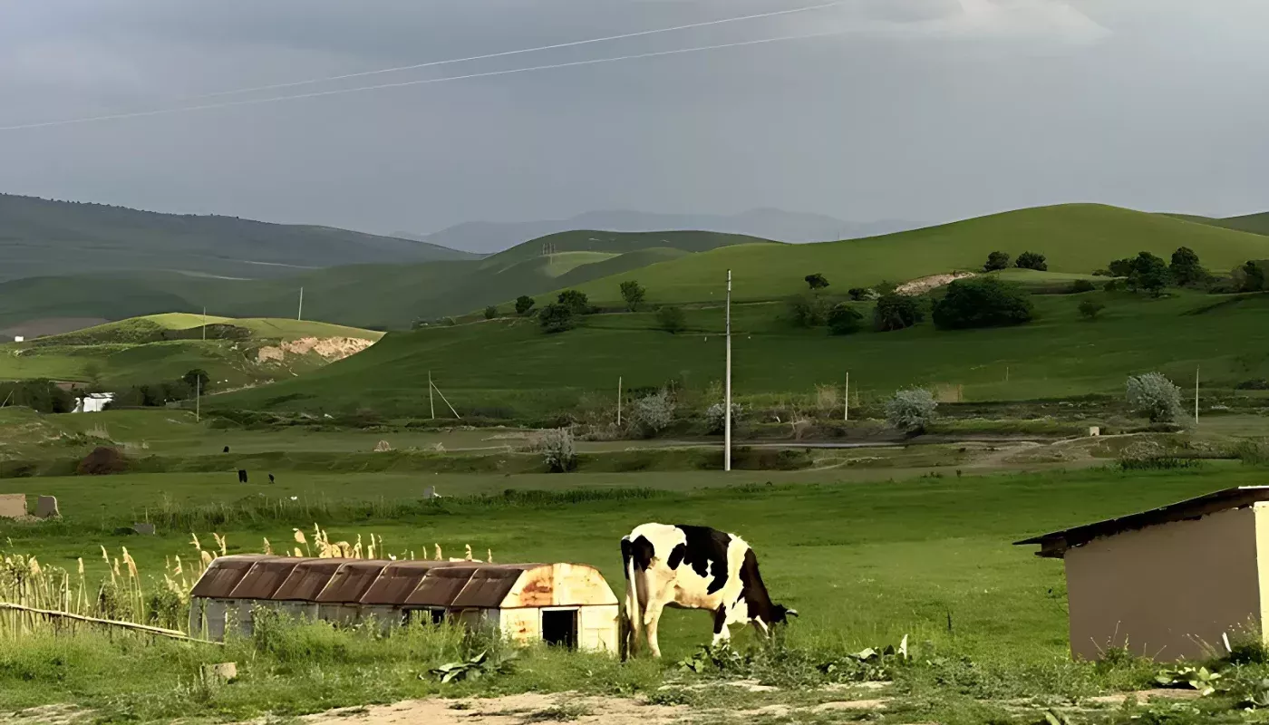 O‘zgidromet: Mart oyi boshida biroz sovuq bo‘ladi, keyin kunlar isiydi