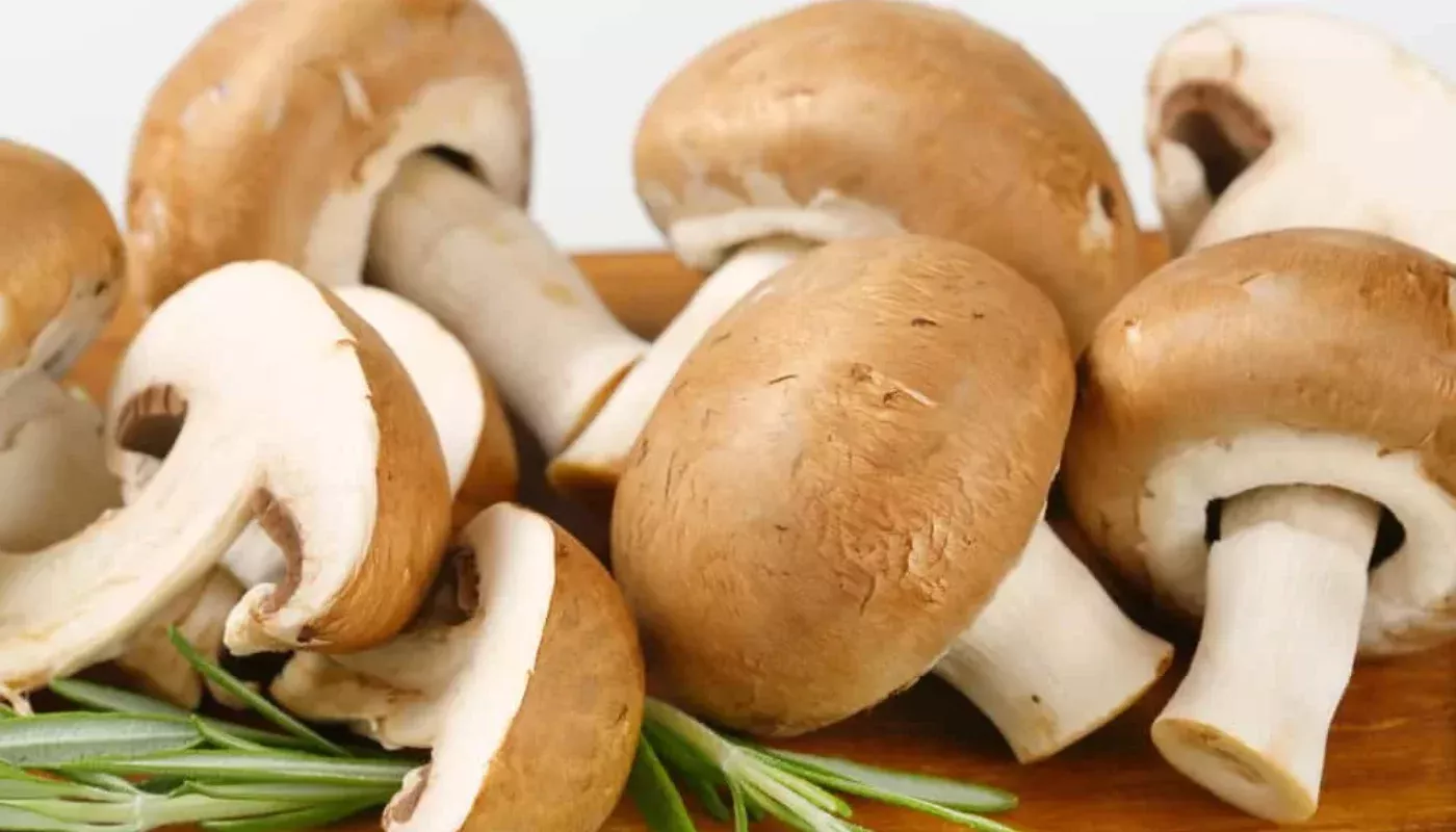 They make you happy, 'fix' digestion: the most beneficial mushrooms