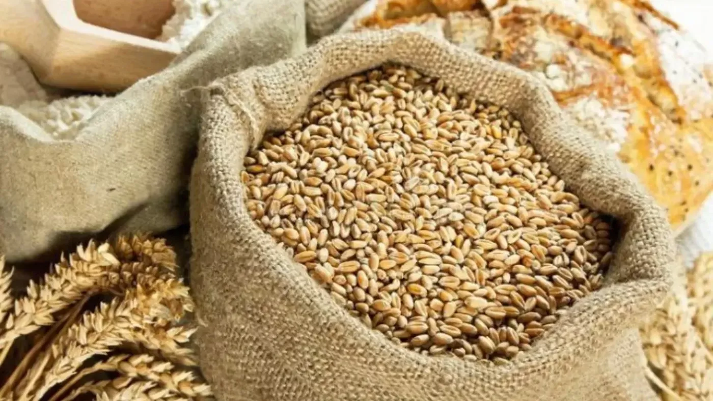 Uzbekistan increased wheat imports from Kazakhstan by 30%