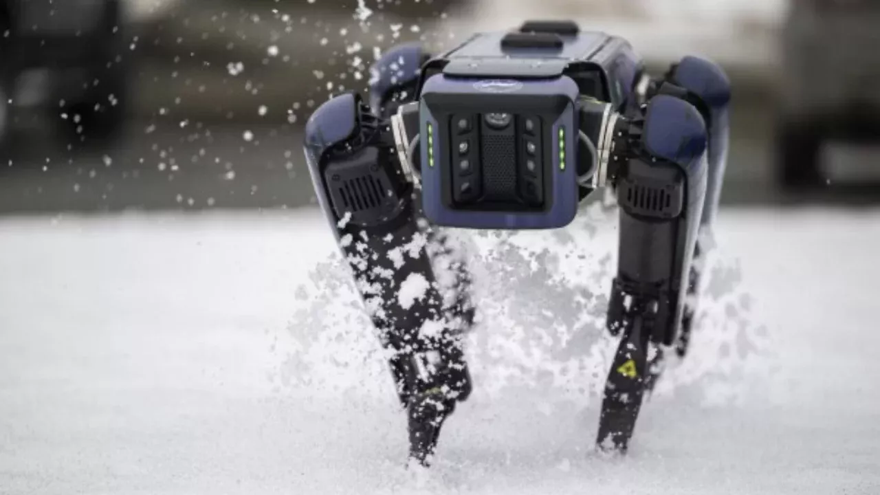 Robots against wild animals have been launched at US airports