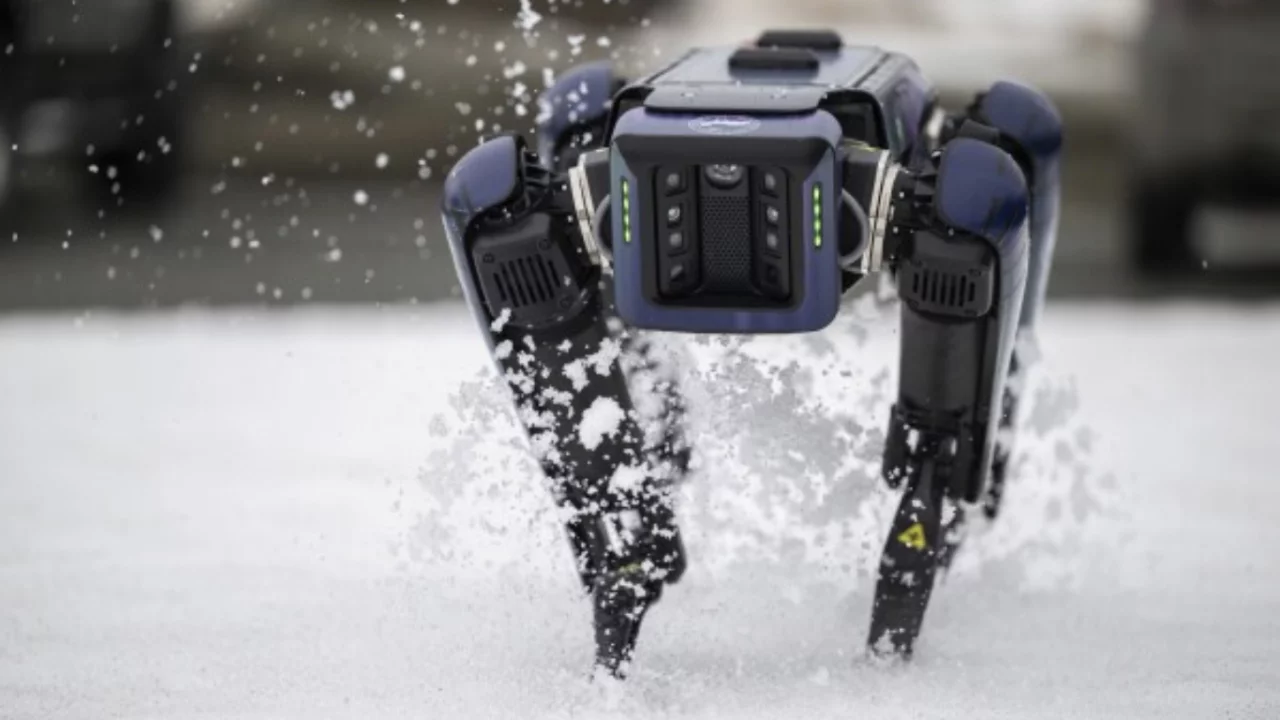 Robots against wild animals have been launched at US airports