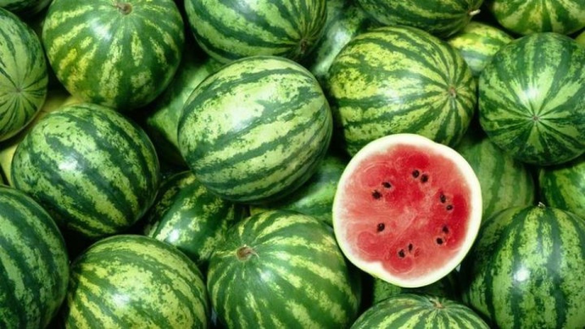 Buy melons and watermelons only from official markets