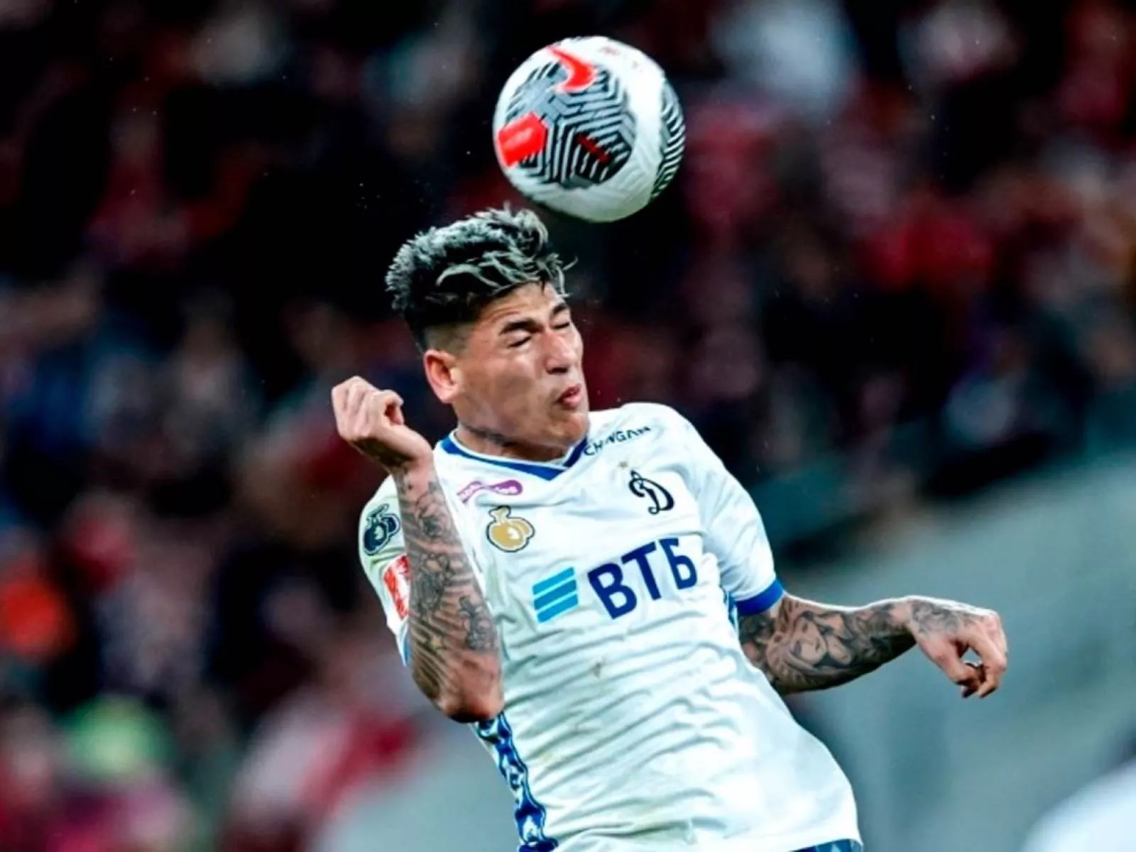Dinamo team did not disclose Karraskal's fine