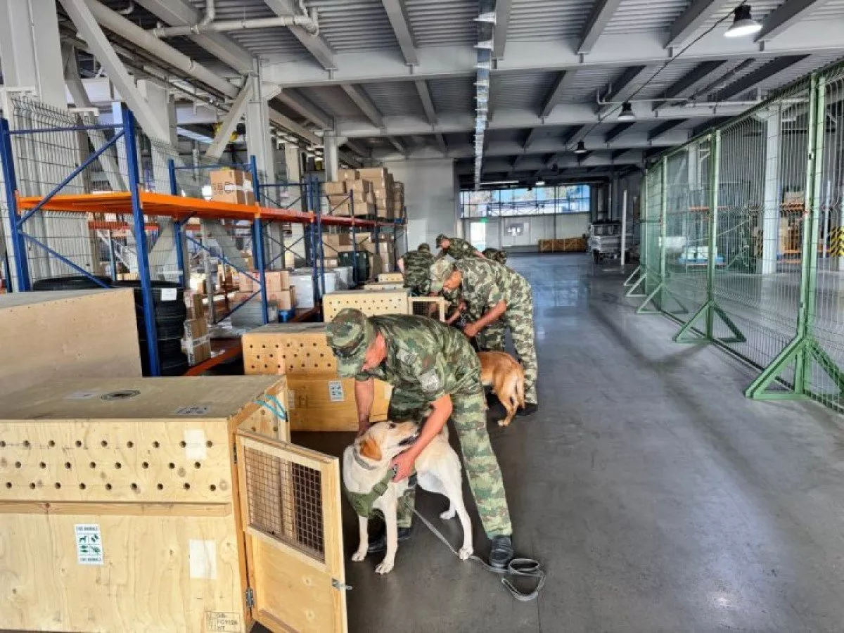 South Korea purchased six service dogs from Uzbekistan