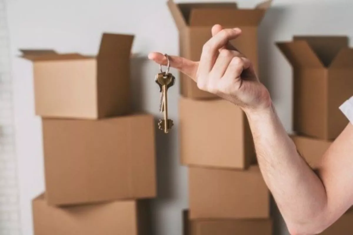 Real estate services in Uzbekistan increased by 11.9%