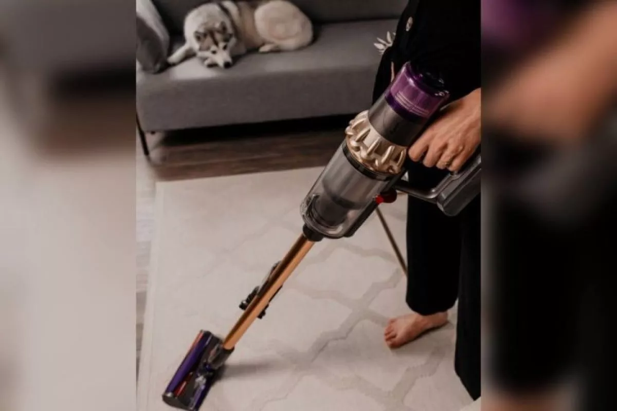 The number of vacuum cleaners at home in Uzbekistan has increased