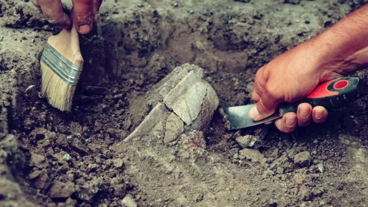 Shahrukhia is revealing the secrets of the ancient city