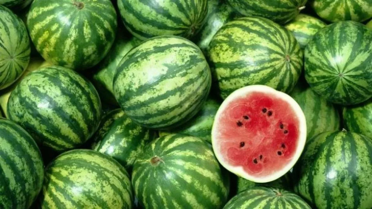 Take watermelon and melon only from the official market