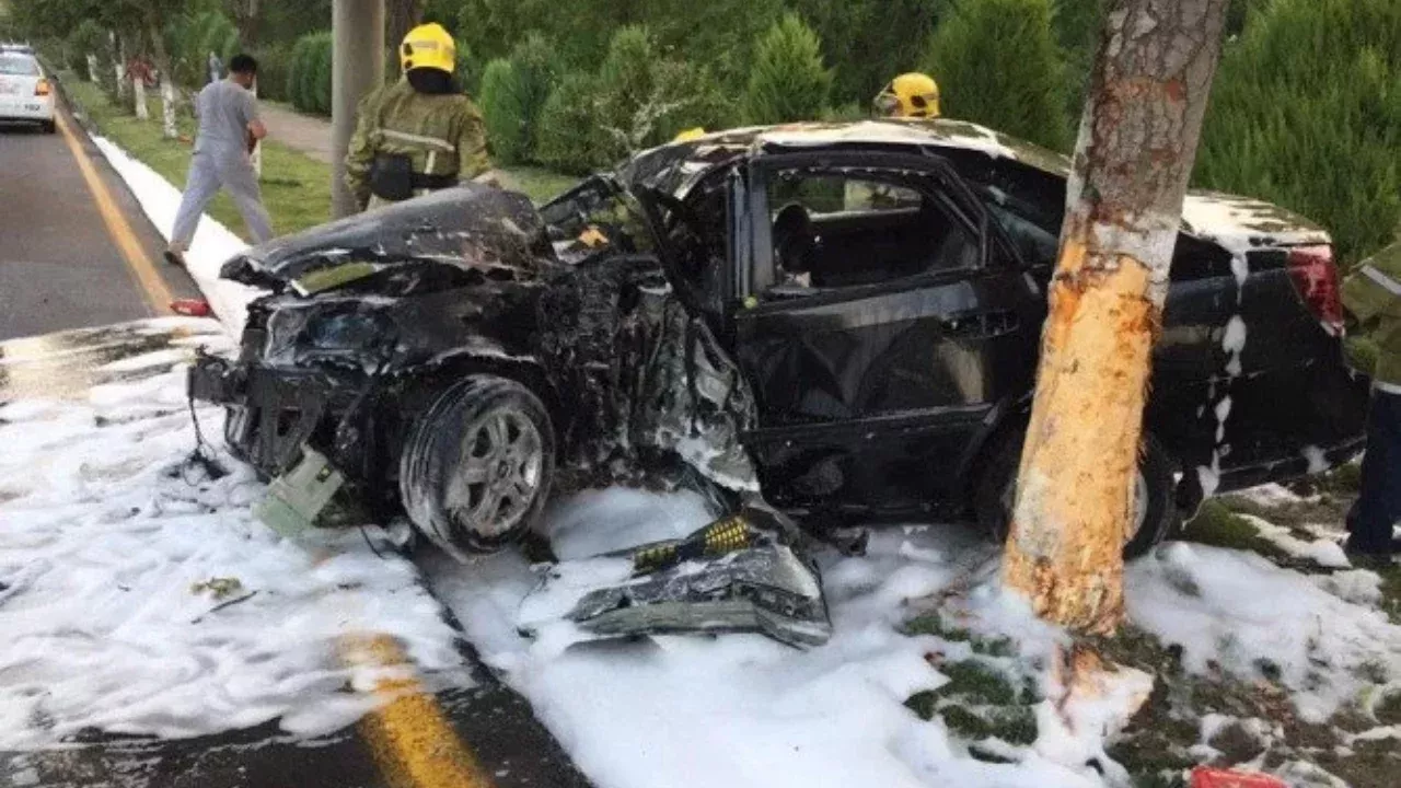 The number of accidents on the roads will be reduced, a new program has started