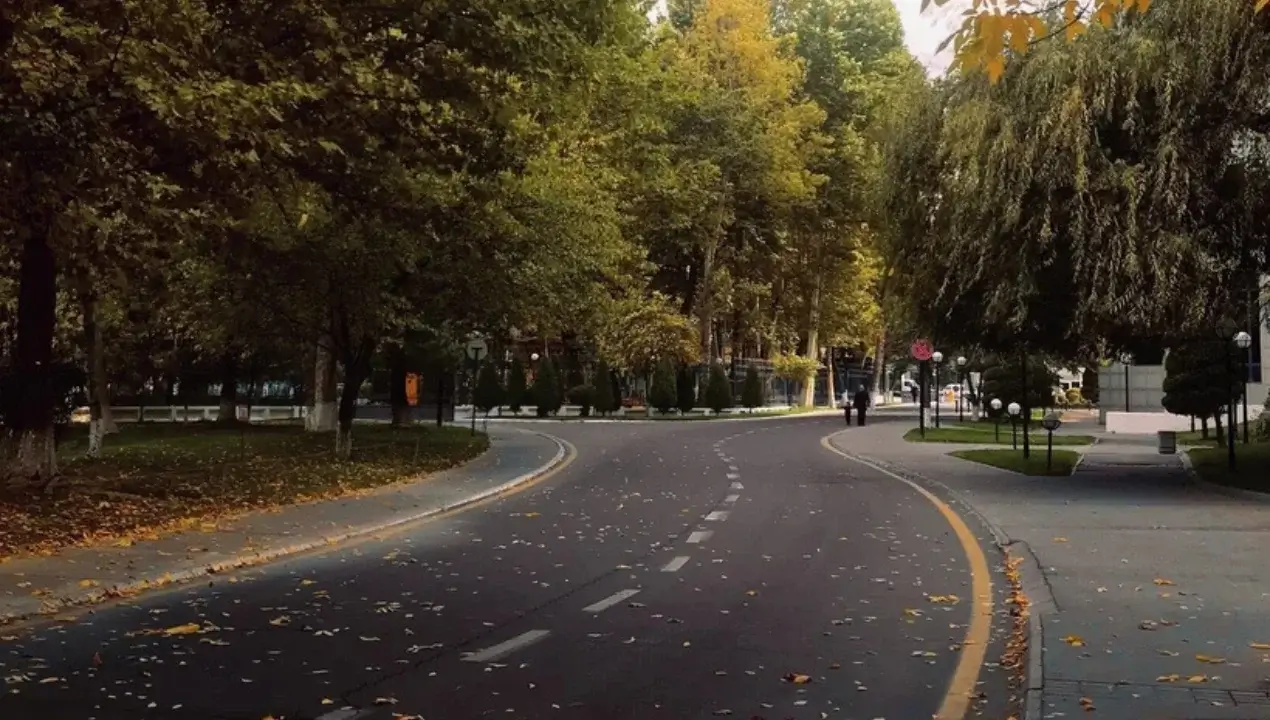 В сентябре погода будет теплой, ночи прохладными