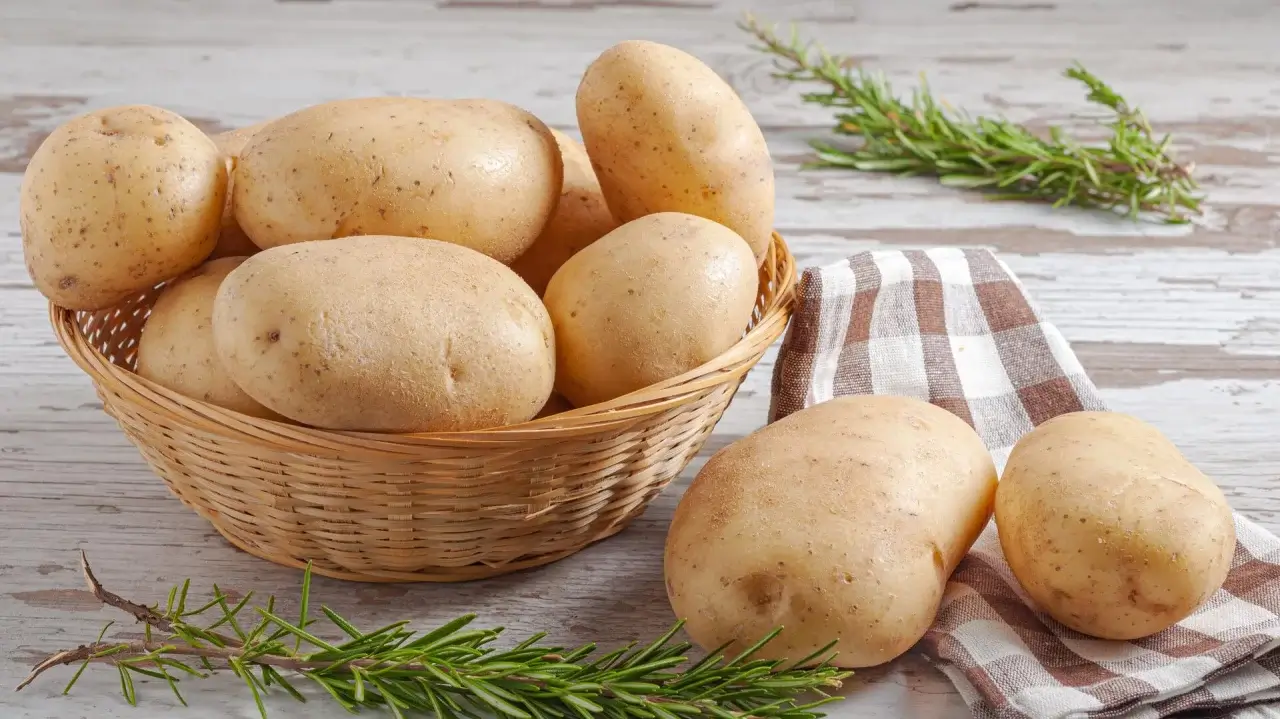 Kartoshka don mahsulotlari qatoriga kiritilishi mumkin