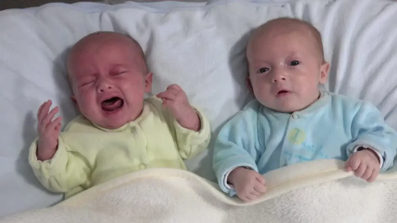 The number of twins has increased in Uzbekistan