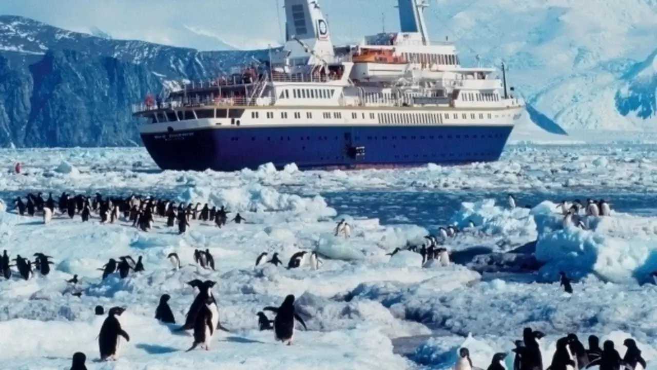 Tourism in Antarctica is damaging the ecosystem