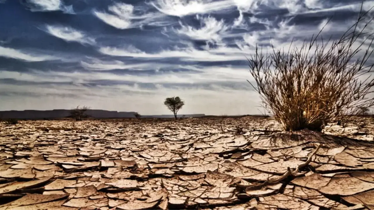 Water scarcity intensifies in East Anglia