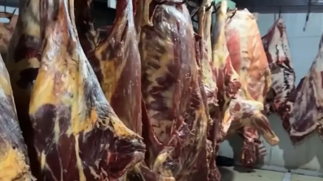600 kg of unfit meat seized in Tashkent