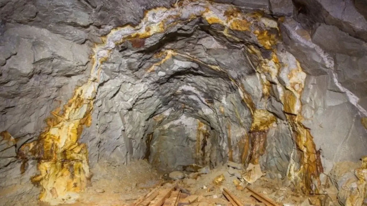2-ton gold plot sold at a record price in Tashkent