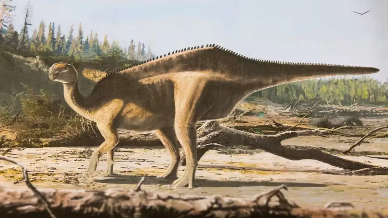 Uayt orolida yangi dinozavr turi kashf qilindi