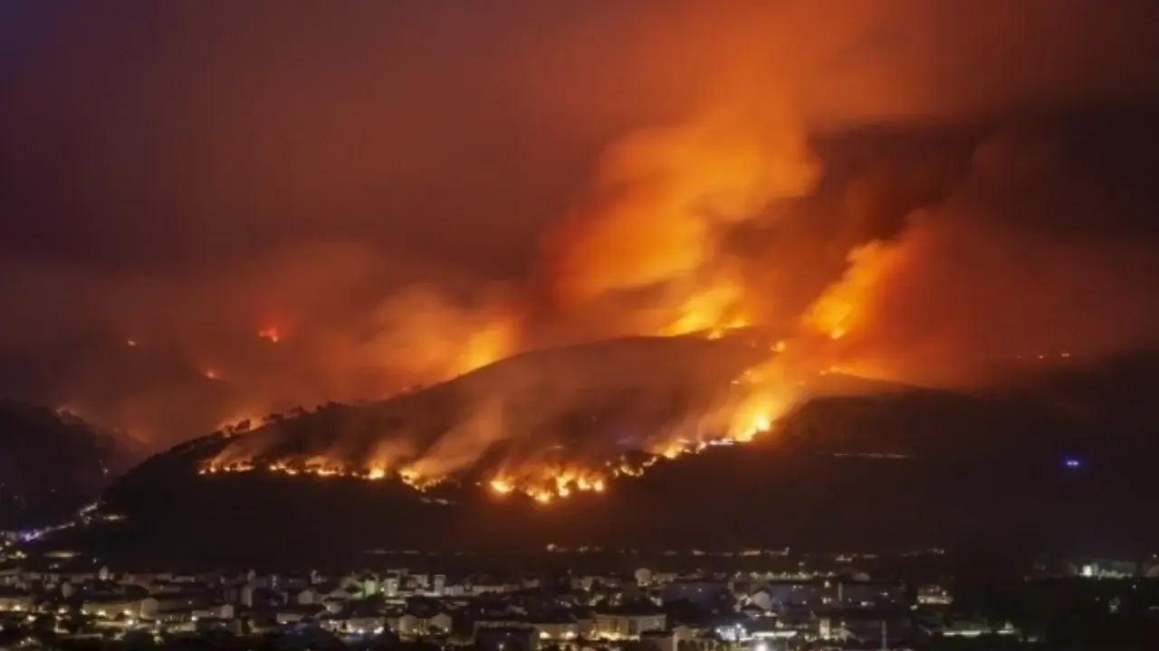 In 2025, European forests faced major wildfires