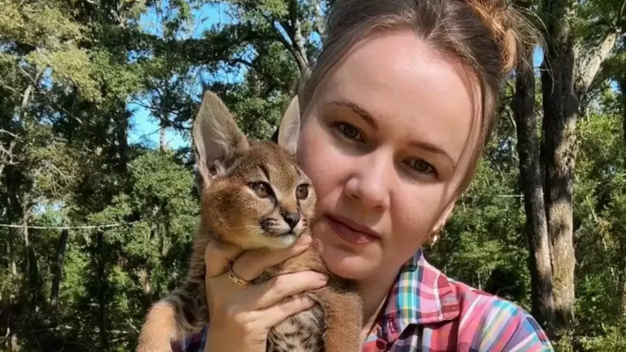 Ganna Kuzmina Karakat mushuklarini yetishtirmoqda