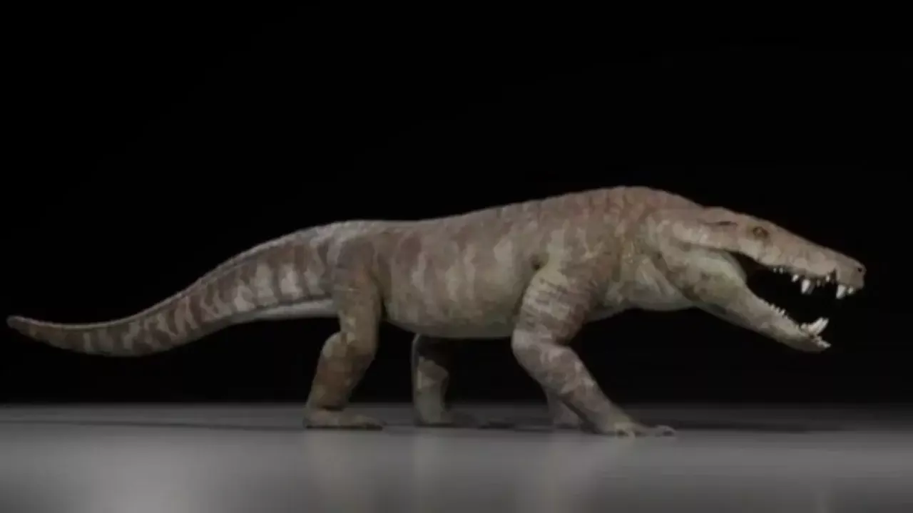 Large crocodile remains from 70 million years ago found in Patagonia