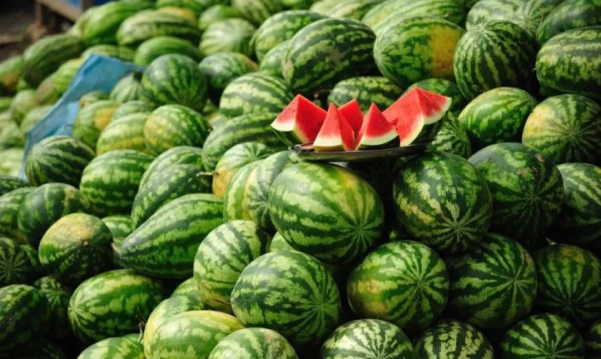 False reports about melon poisoning in the capital spread