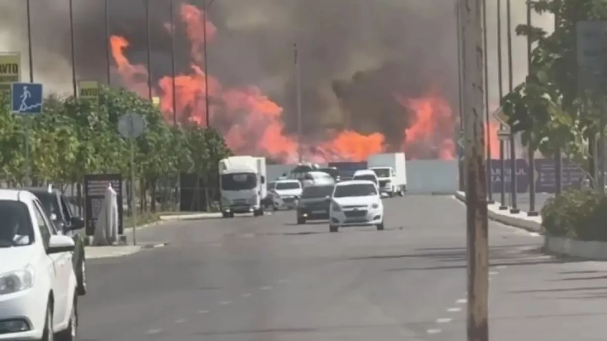 Fire quickly extinguished in an open area in Tashkent