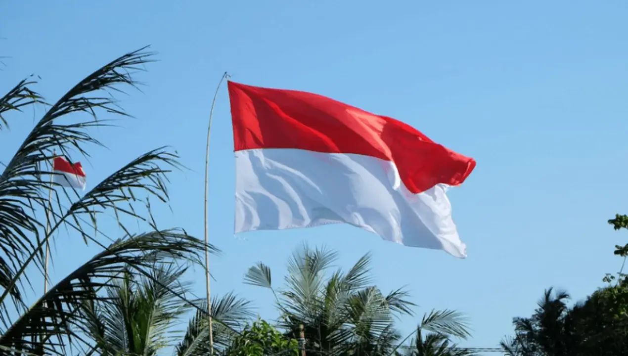 Indonesia ready to send peace mission to Ukraine
