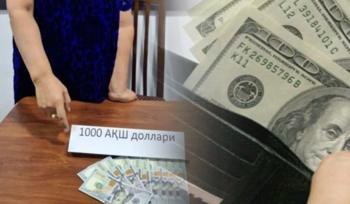 Employment frauds identified in Karakalpakstan