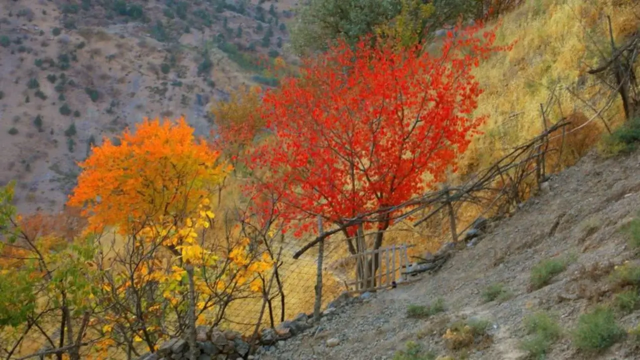 What the weather will be like in Uzbekistan on September 21, 2025