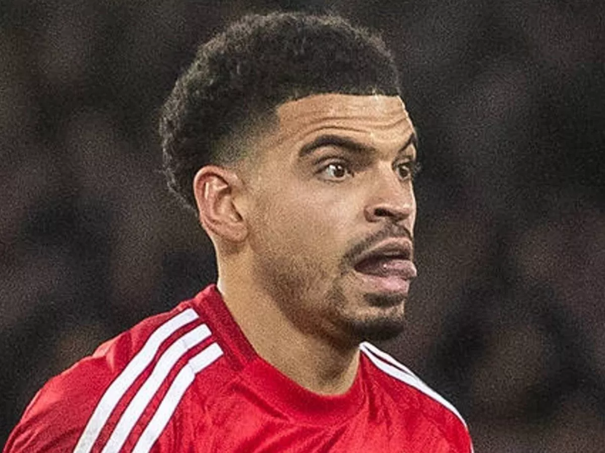 Gibbs-White in court for not registering his dog