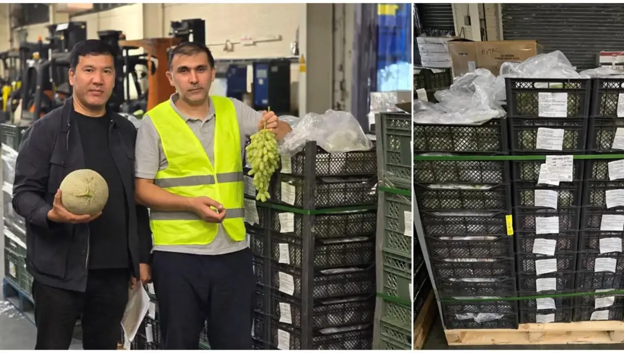 O‘zbek mahsulotlari Buyuk Britaniyada talabga ega