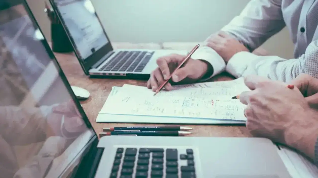 Increase in the number of new companies in Uzbekistan