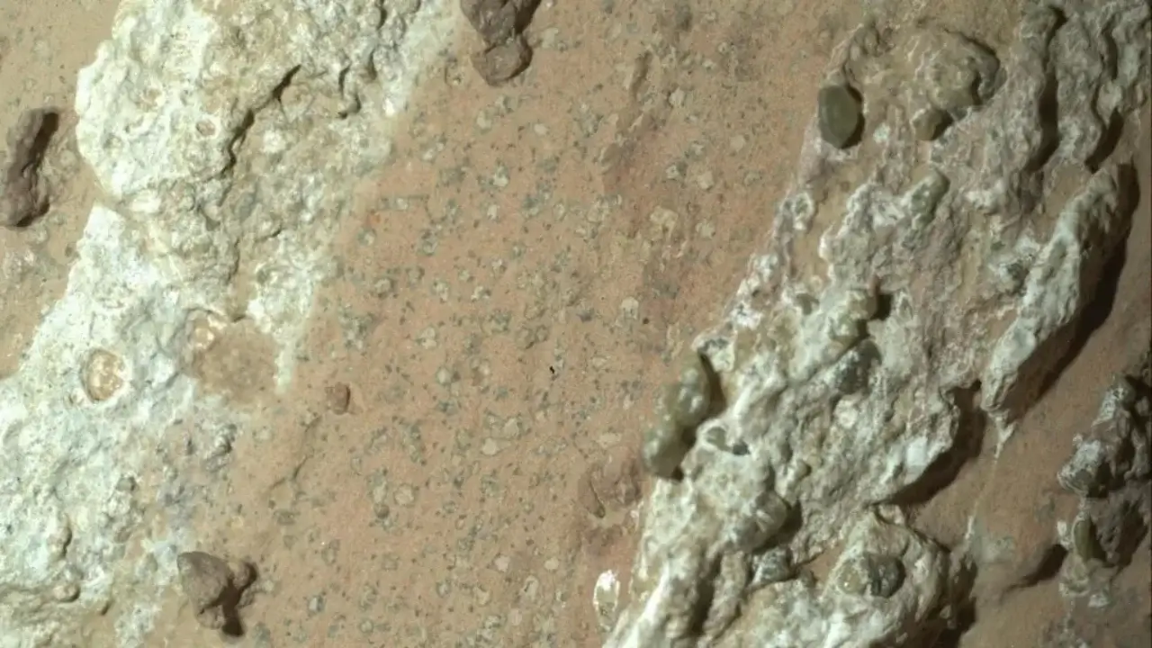 Perseverance found ancient signs of life on Mars