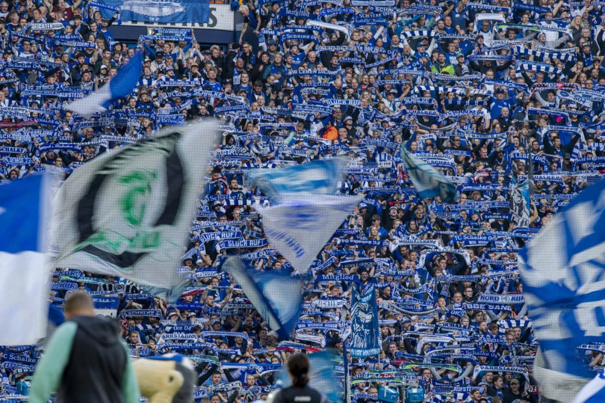 Shalke jamoasi Kristian Gomis bilan shartnoma imzoladi