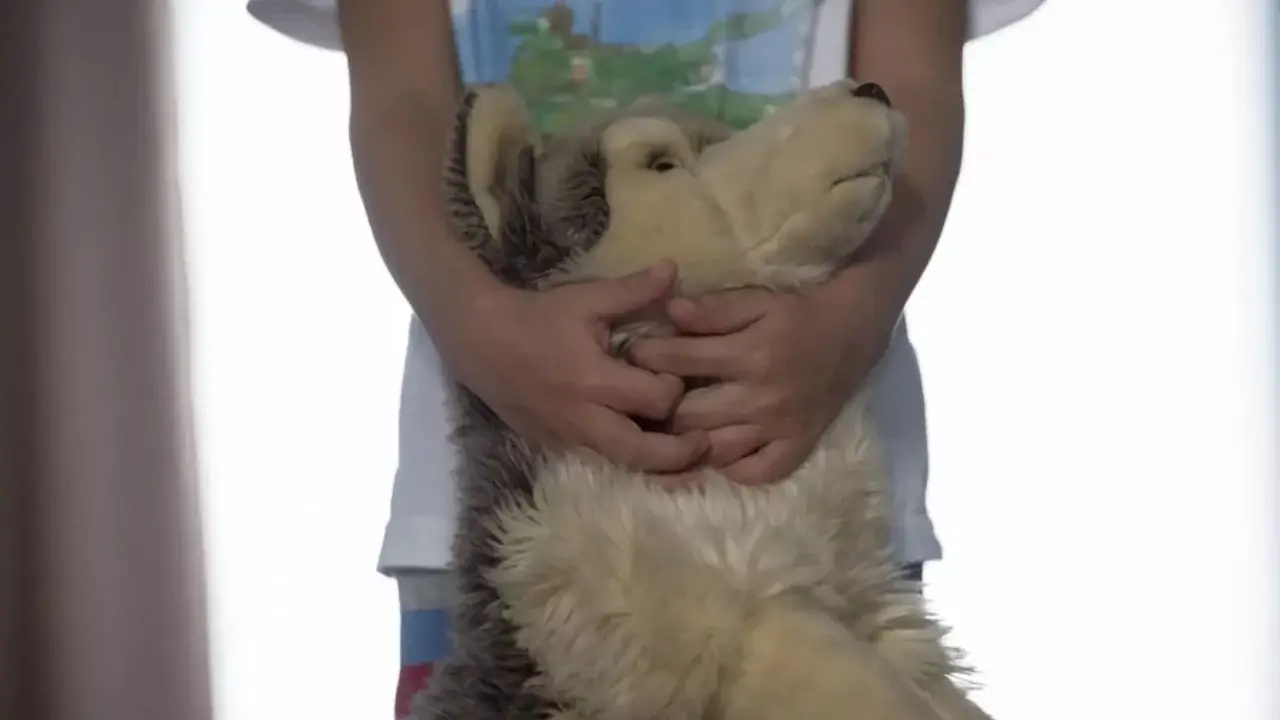 Toy dispute among children ended in Kazakhstan