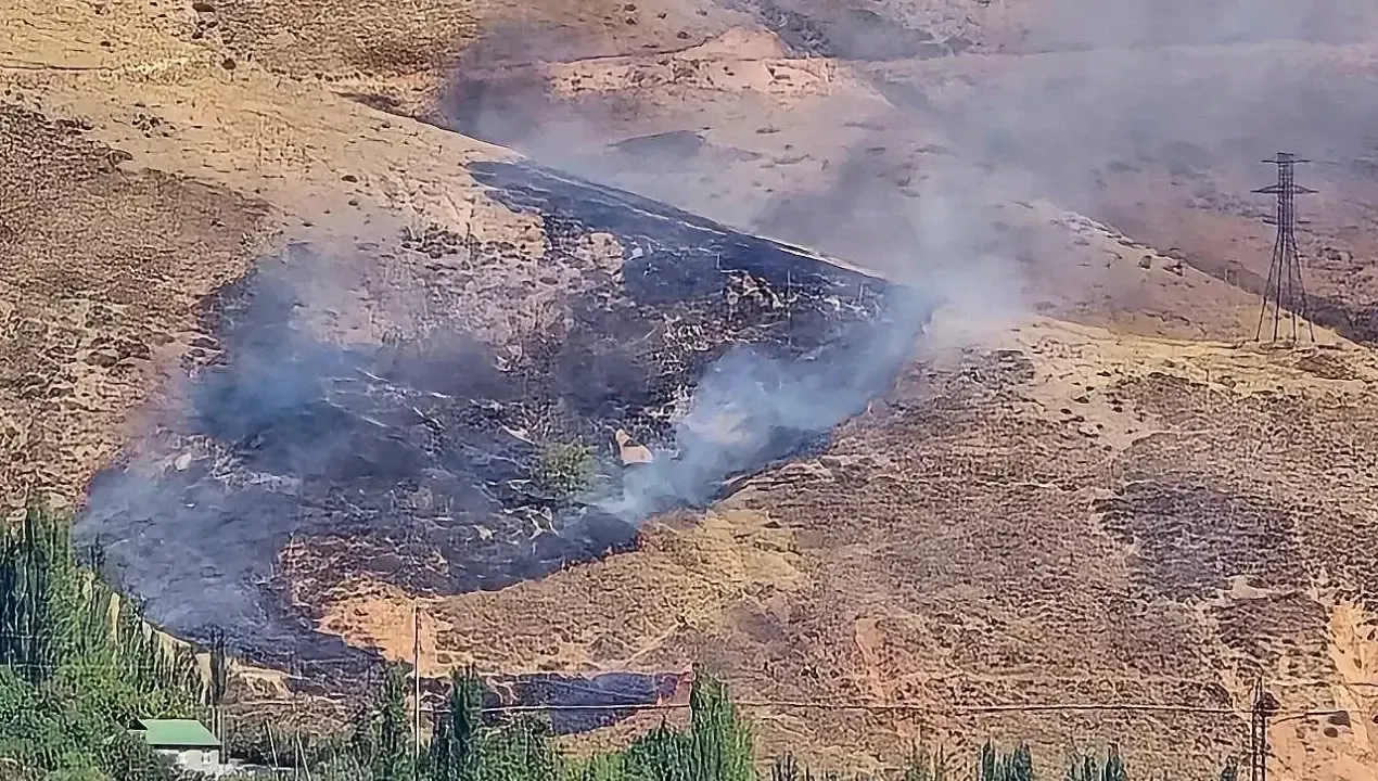 Forest fire in Bostanliq quickly extinguished