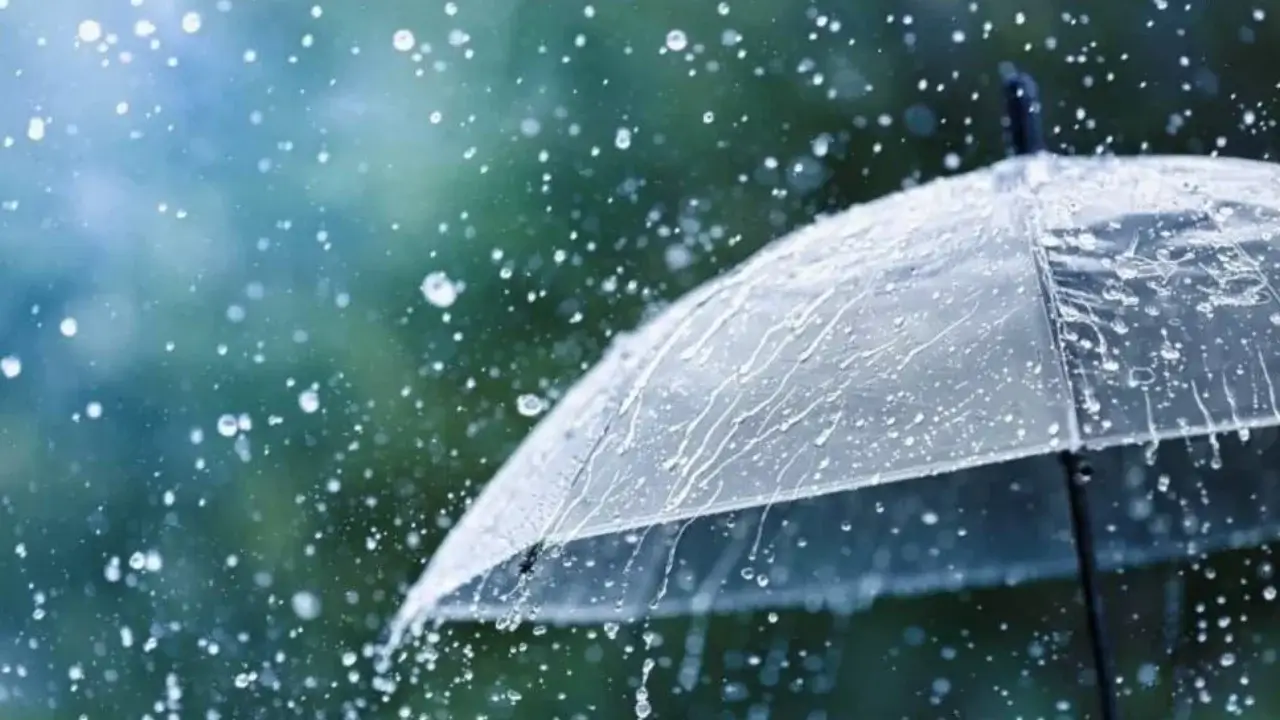 Rain and strong wind expected in some areas on September 15