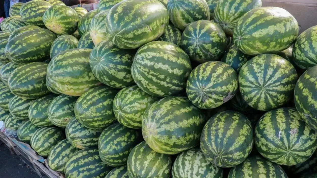 Prices increased by 0.4 percent in Uzbekistan in August