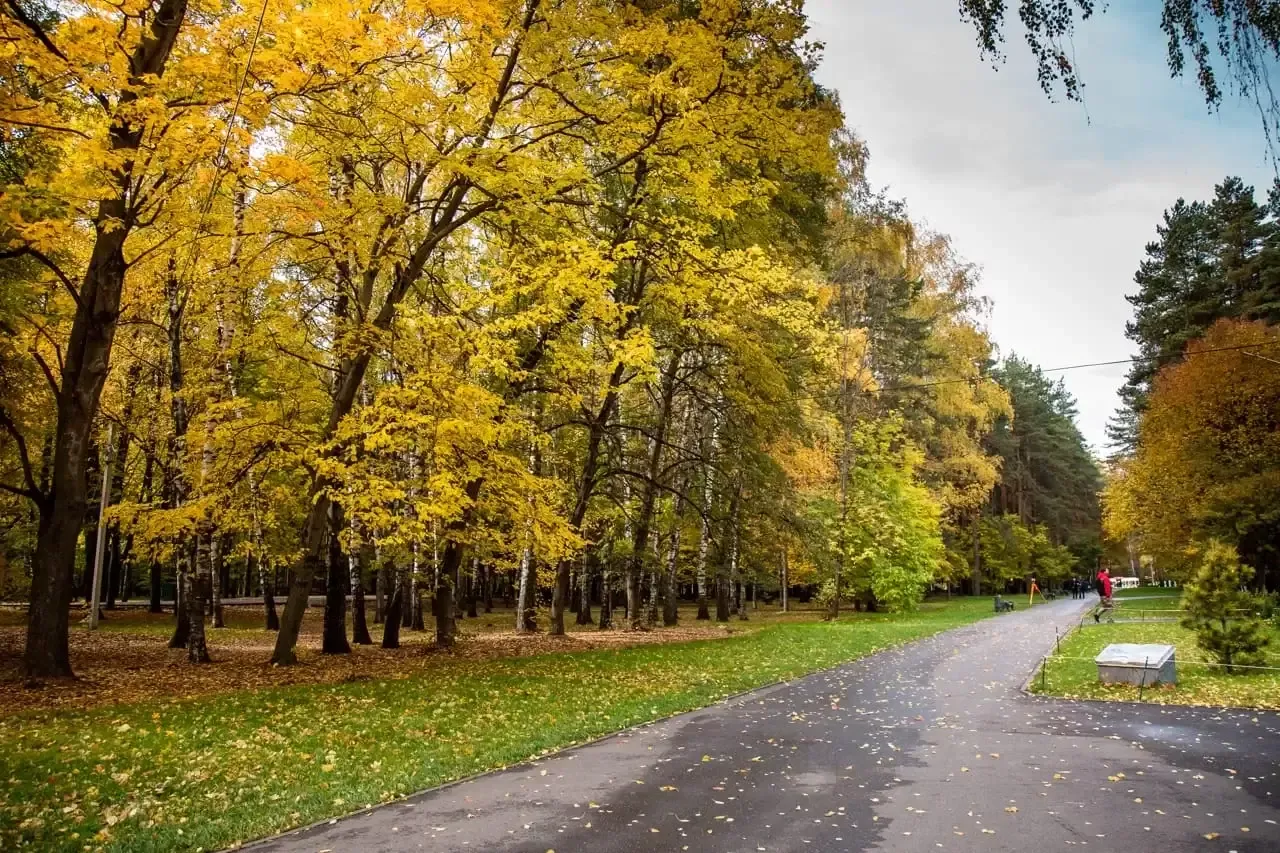 Wind will strengthen during the week, dust storms possible