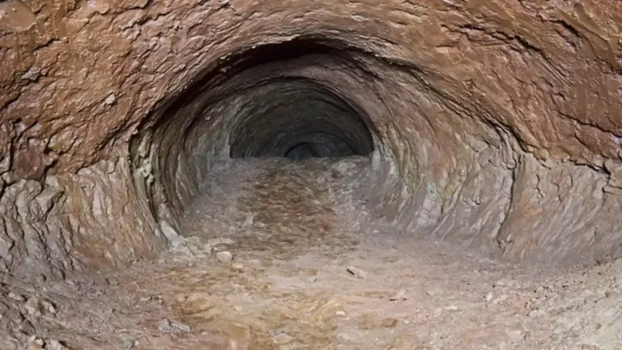 Giant sloth tunnels found in South America