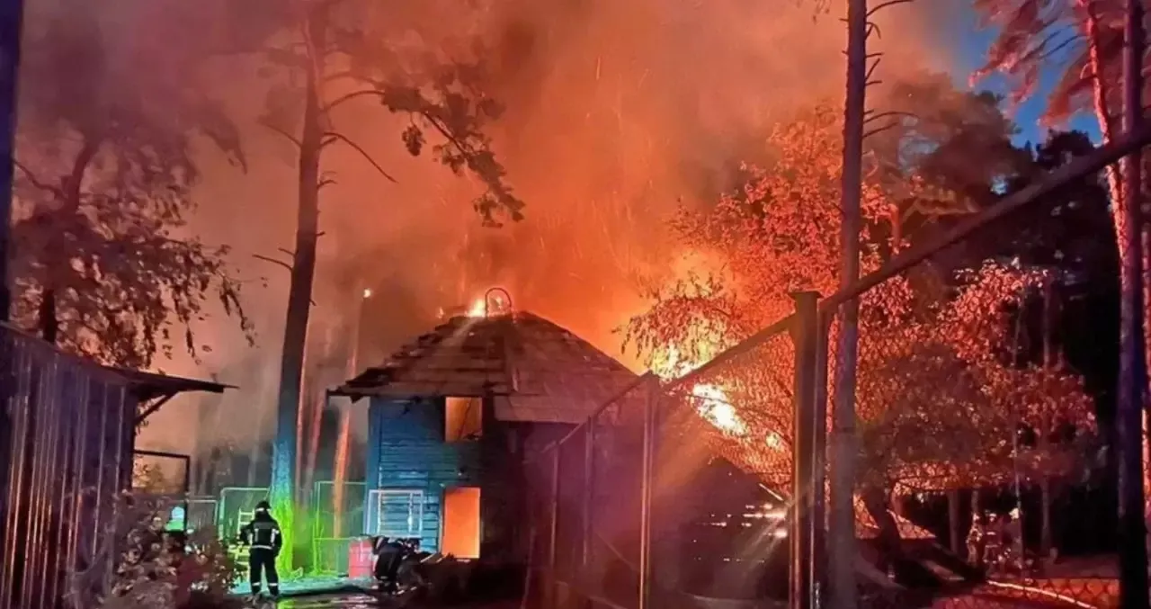 Novosibirsk hayvonot bog‘ida yong‘in yuz berdi