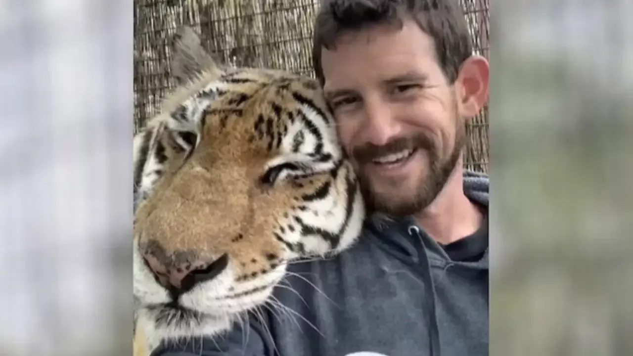 В Оклахоме тигр напал на тренера и убил его