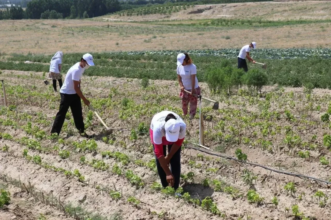 The President regulated the effective use of agricultural lands
