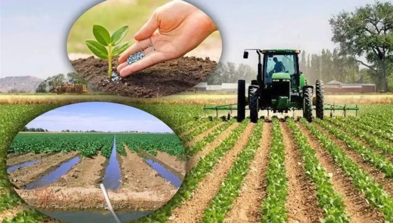 Qishloq xo‘jaligi yerlaridan foydalanish tartibi yangilandi