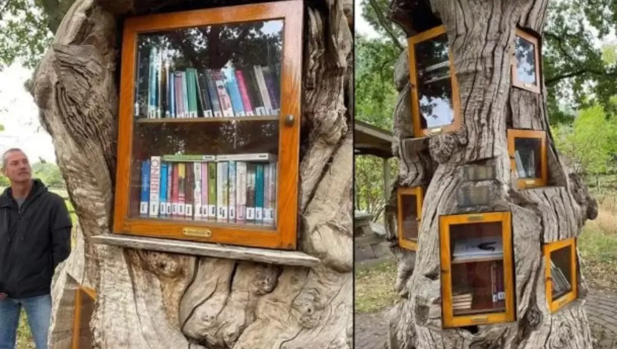 A library created from a tree in the village of Ruurlo