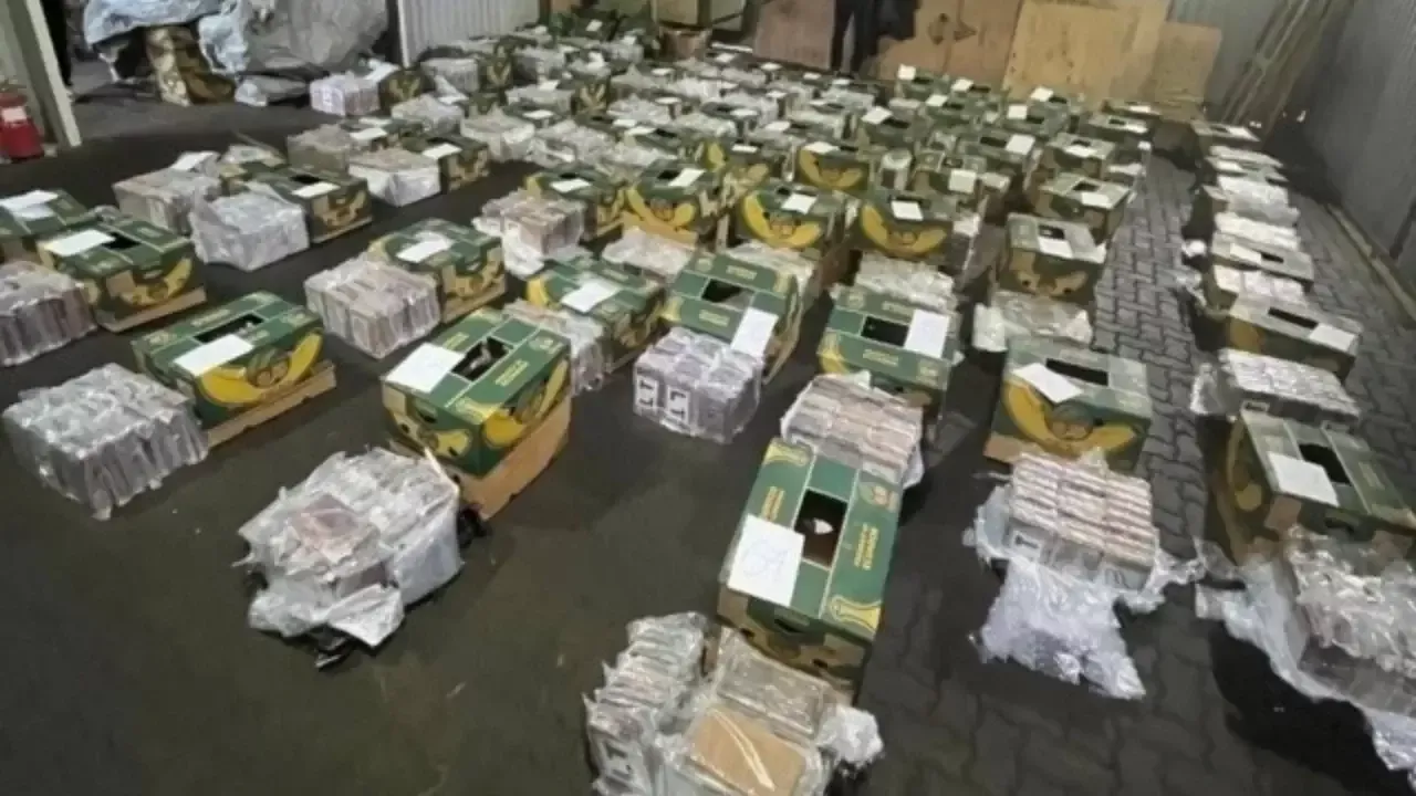 Sankt-Peterburgda rekord miqdorda kokain musodara qilindi