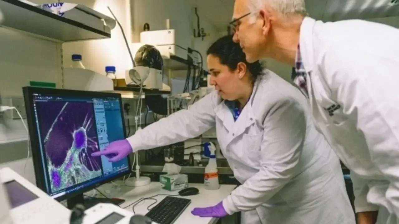 51 billion euros allocated for cancer research