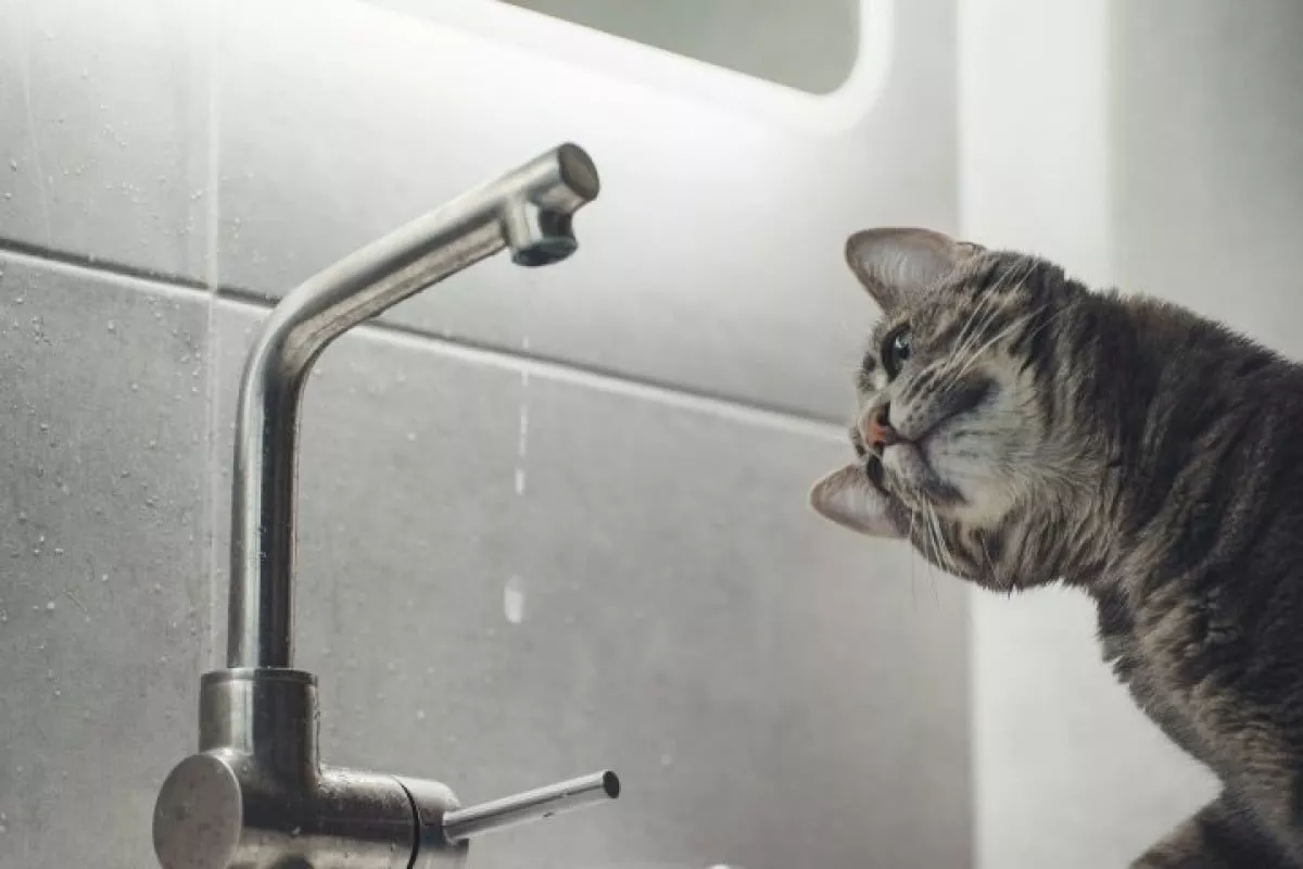 Temporary cold water supply interruption in Tashkent