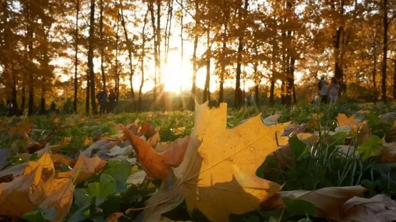 13 октября в Узбекистане теплая и солнечная погода